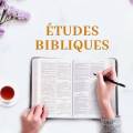 Découvrez les enseignements bibliques que la communauté propose